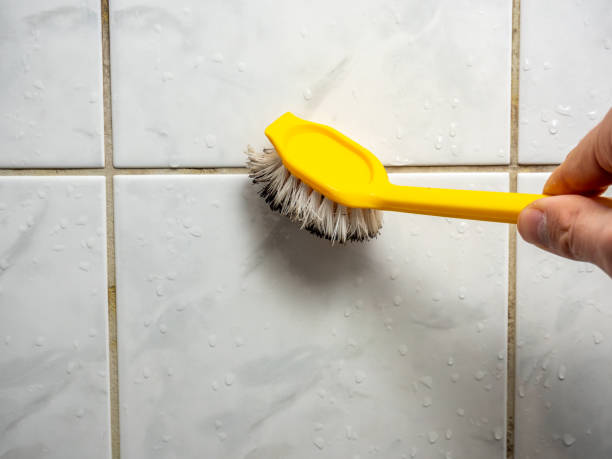 Attic Mold Removal in Dinuba, CA