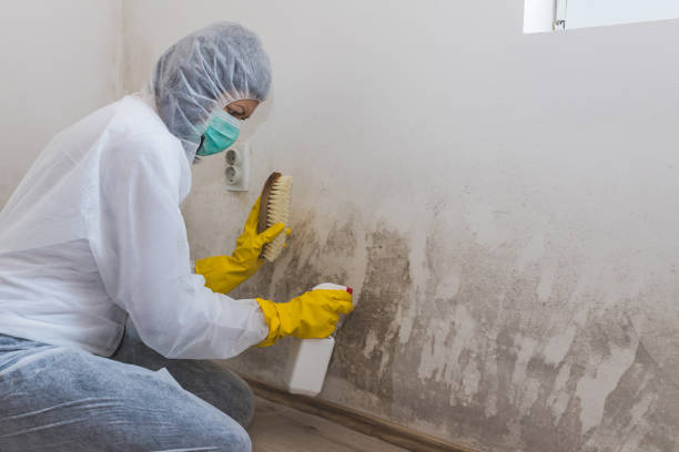 Best Residential Mold Removal  in Dinuba, CA