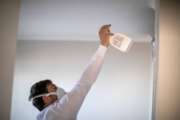Best Mold Removal Near Me  in Dinuba, CA