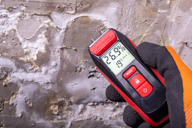 Crawl Space Mold Removal in Dinuba, CA