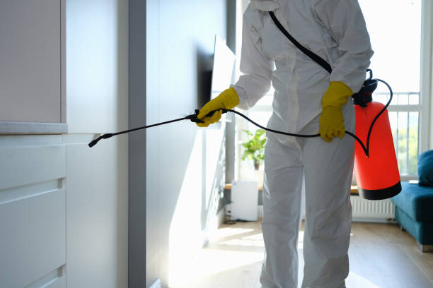 Best Black Mold Removal  in Dinuba, CA