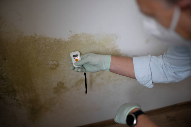 Best Office Mold Removal Services  in Dinuba, CA