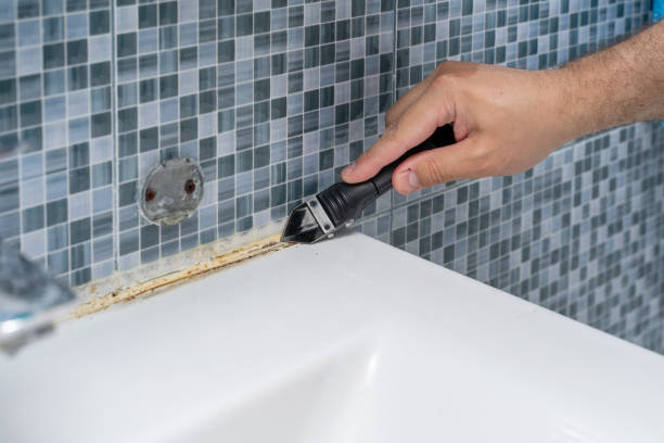 Best Local Mold Removal Service  in Dinuba, CA