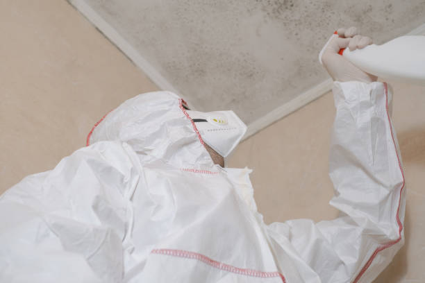 Crawl Space Mold Removal in Dinuba, CA