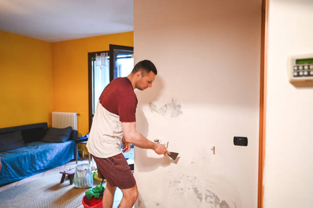 Best Same-Day Mold Removal  in Dinuba, CA