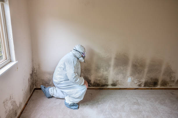 Best Crawl Space Mold Removal  in Dinuba, CA