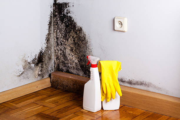 Best Crawl Space Mold Removal  in Dinuba, CA